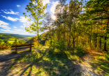 Erleben Sie einen schönen Urlaub im Thüringer Wald