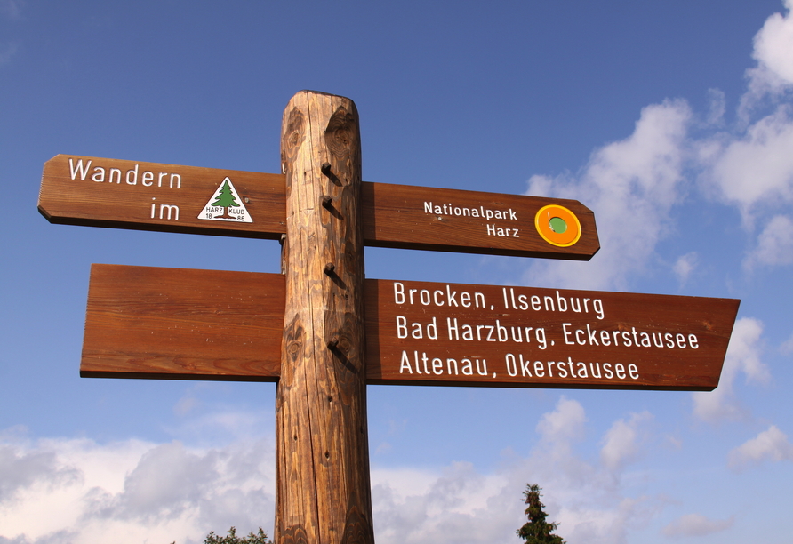 Der Harz ist ein absolutes Paradies für Wander-Begeisterte!