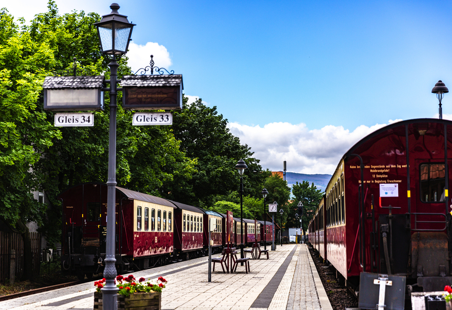 Die berühmte Harzer Schmalspurbahn fährt direkt am Hauptbahnhof in Wernigerode ab – eine Reise in eine andere Zeit.