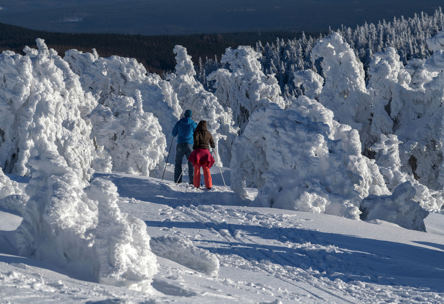 Zahlreiche Routen für Winterwanderungen und Langlaufloipen erwarten Sie im Nationalpark Harz.