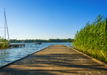Erleben Sie die Vielfalt der Mecklenburgischen Seenplatte!