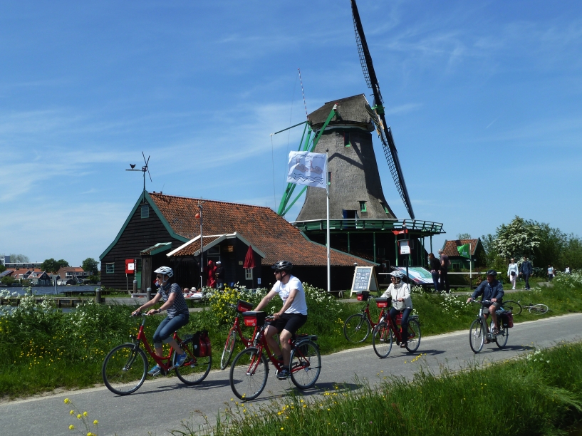 Die für Holland typischen Windmühlen werden Ihnen sicherlich des Öfteren begegnen.