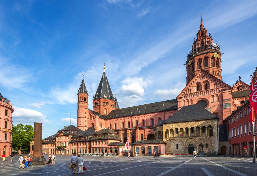 Der Mainzer Dom und Domplatz 