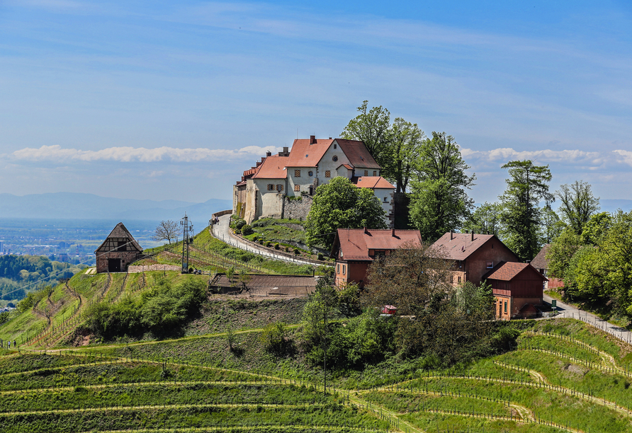 Machen Sie Ausflüge in die traumhafte Region – z.B. zum Schloss Staufenberg bei Durbach.