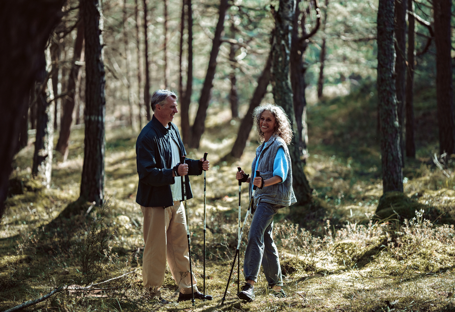 Wandern Sie durch die dichten Fichtenwälder an der polnischen Ostsee.