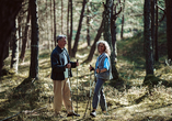 Wandern Sie durch die dichten Fichtenwälder an der polnischen Ostsee.