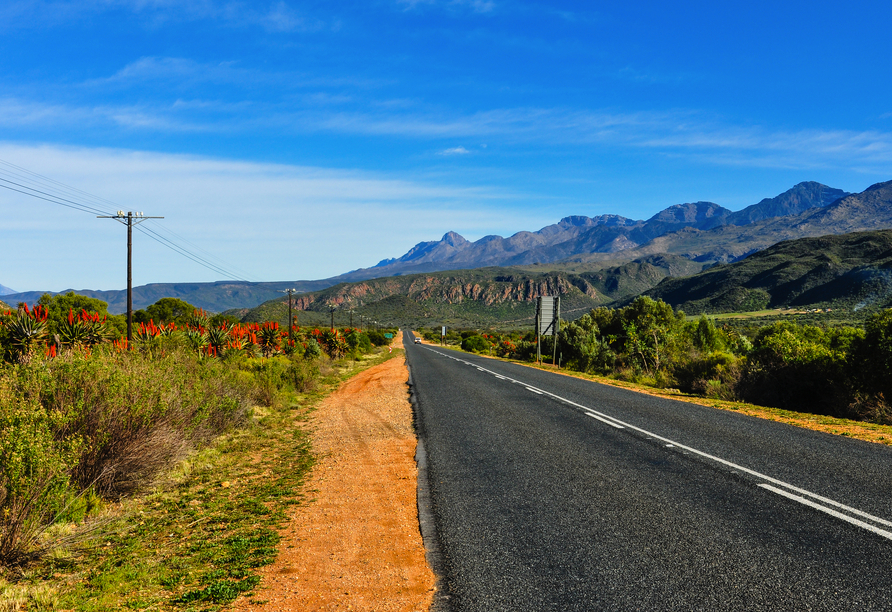 Die legendäre Garden Route bietet atemberaubende Eindrücke.