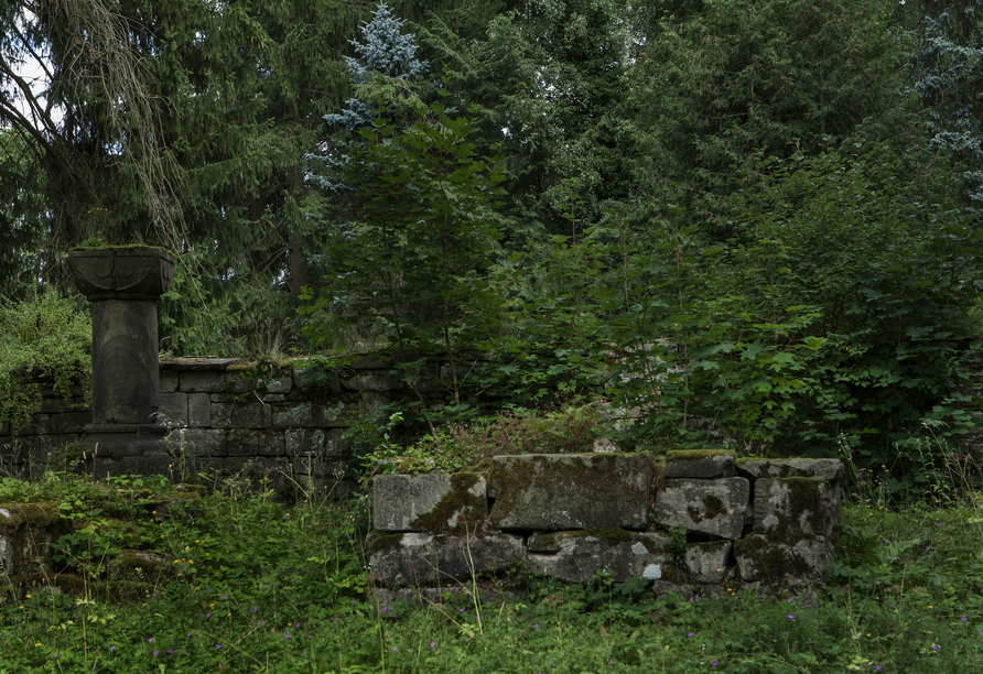 Entdecken Sie die Kloster-Ruinen bei Georgenthal.