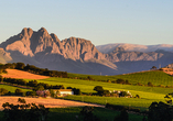 Weinberge prägen die malerischen Winelands, wo Sie u.a. eine Weinverkostung erwartet.