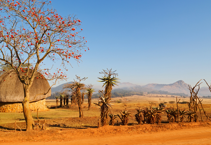 Ein Tagesausflug führt Sie nach Eswatini, ehemals Swasiland, das mit reicher Kultur auf Sie wartet.