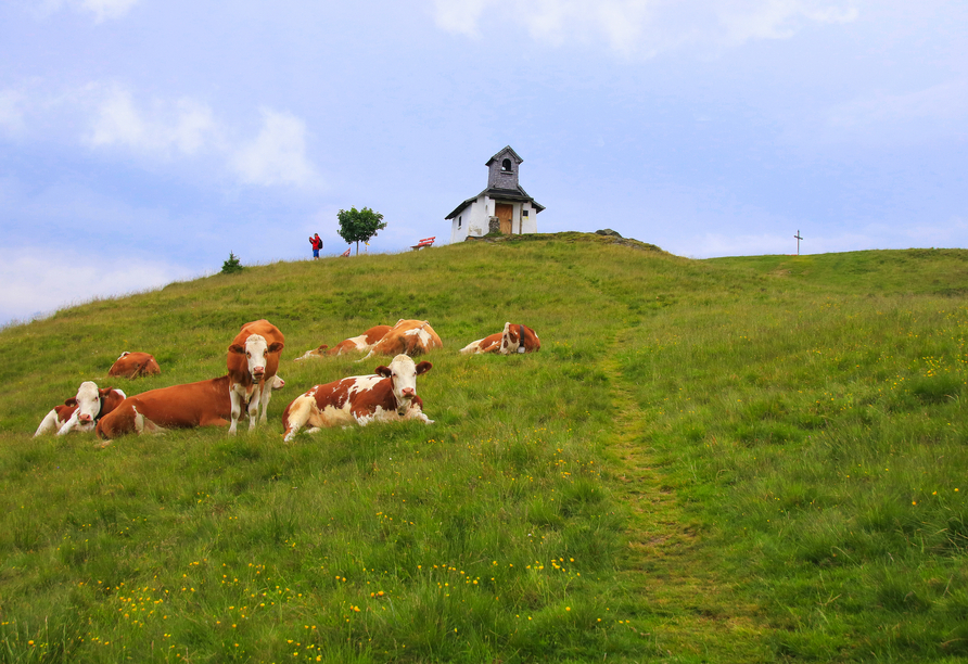 Tanken Sie neue Energie in den Bergen der Wildschönau.