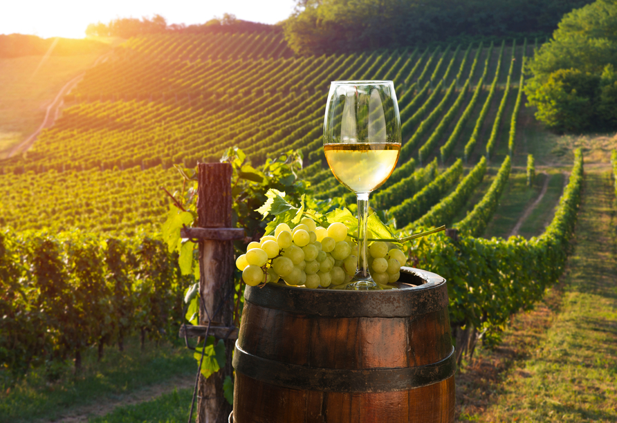 Bei einem Glas Wein können Sie es sich gutgehen lassen.