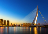 Bestaunen Sie Rotterdam und die eindrucksvolle Erasmusbrücke.