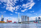 Die bekannte Erasmusbrücke in Rotterdam