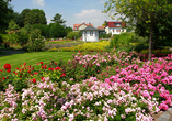 Verweilen Sie im traumhaft schönen Rosengarten Bad Langensalzas und lassen Sie sich verzaubern.