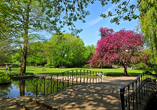 Flanieren Sie durch den Hannoveraner Stadtpark und lernen Sie die Stadt von ihrer grünen Seite kennen.