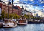 Freuen Sie sich auf Ihre Entdeckungstour durch Helsinki.
