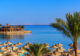 In Ihrem Urlaub in Hurghada werden Sie ausreichend Zeit für Ruhe und Erholung finden.
