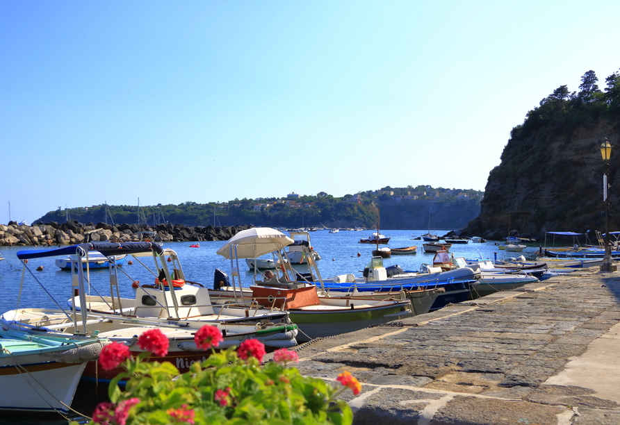 Genießen Sie Ihren Urlaub auf der grünen Insel Ischia und freuen Sie sich auf Iher Schifffahrt nach Procida.