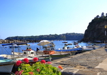 Genießen Sie Ihren Urlaub auf der grünen Insel Ischia und freuen Sie sich auf Iher Schifffahrt nach Procida.