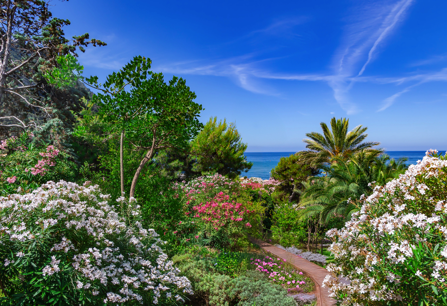 Die Flora auf Ischia ist bezaubernd – dem milden, mediterranen Klima sei Dank.