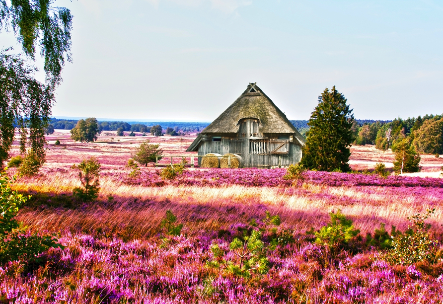 Ausflugsziel Lüneburger Heide