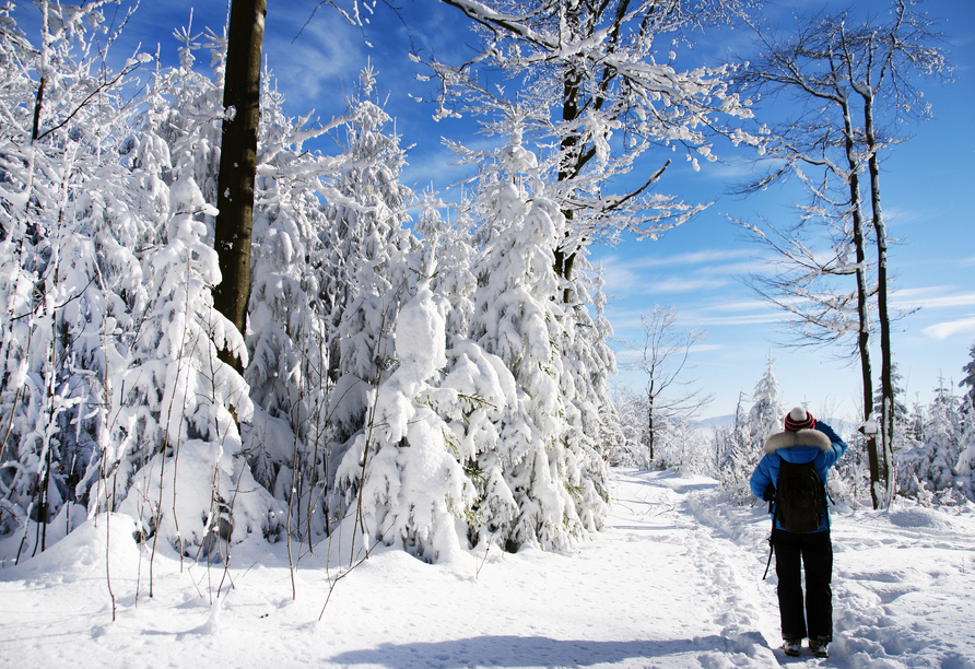 Spazieren Sie durch den verschneiten Bayerischen Wald – eine traumhafte Winterlandschaft!