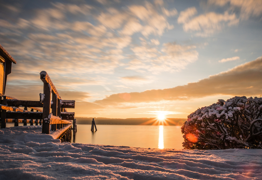 Die Sonne taucht den Ammersee im Winter in ein goldenes Licht – genießen Sie den Moment.