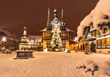 Der historische Marktplatz mit dem Rathaus von Wernigerode ist ein beliebtes Ausflugsziel. 