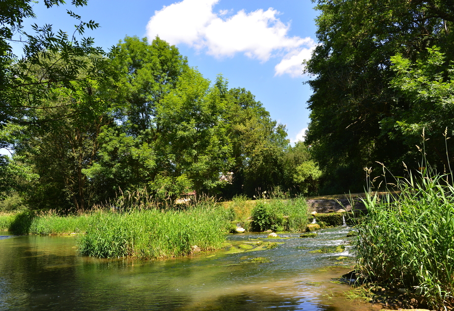 Im Taubertal können Sie die Natur genießen, zur Ruhe kommen und einen entspannten Urlaub erleben.