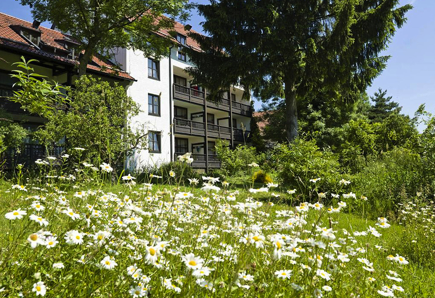 Der Appartementhof ist von einem wild romantischen Garten umgeben.