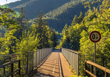 Auf Ihrer Route befahren Sie auch die ein oder andere Brücke, die in die malerische Landschaft des Alpe-Adria-Radwegs eingebettet sind.