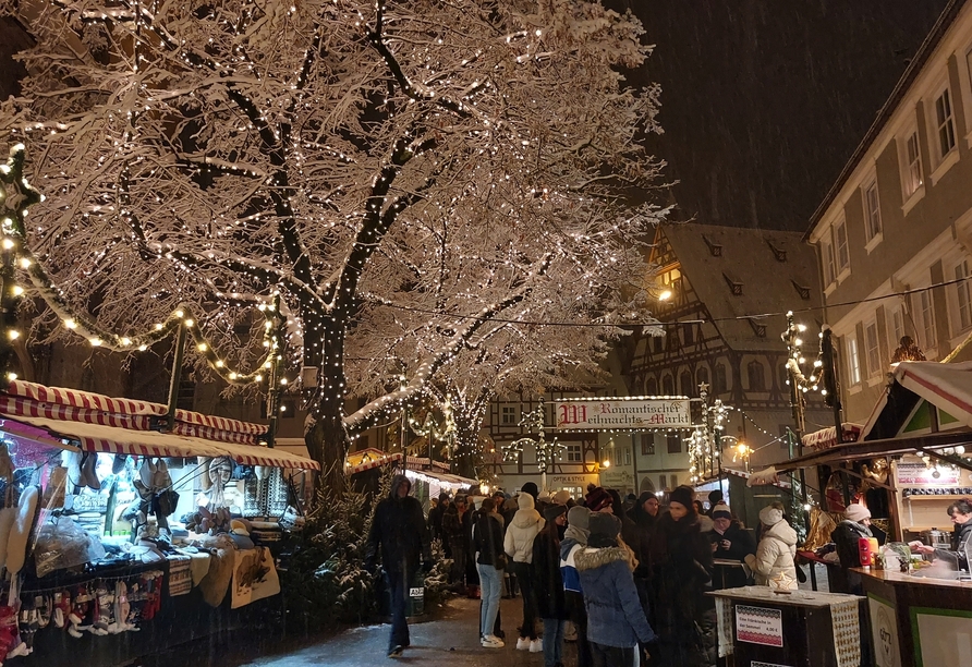 Besuchen Sie doch den Weihnachtsmarkt in Nördlingen.