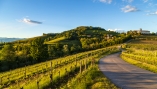 Genießen Sie den Ausblick – und ein Glas Wein direkt aus den sonnenverwöhnten Hügeln Friauls.