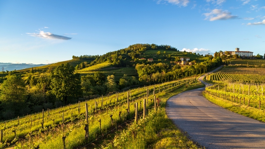 Genießen Sie den Ausblick – und ein Glas Wein direkt aus den sonnenverwöhnten Hügeln Friauls.