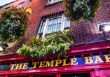 Besuchen Sie die berühmte Temple Bar in Dublin.