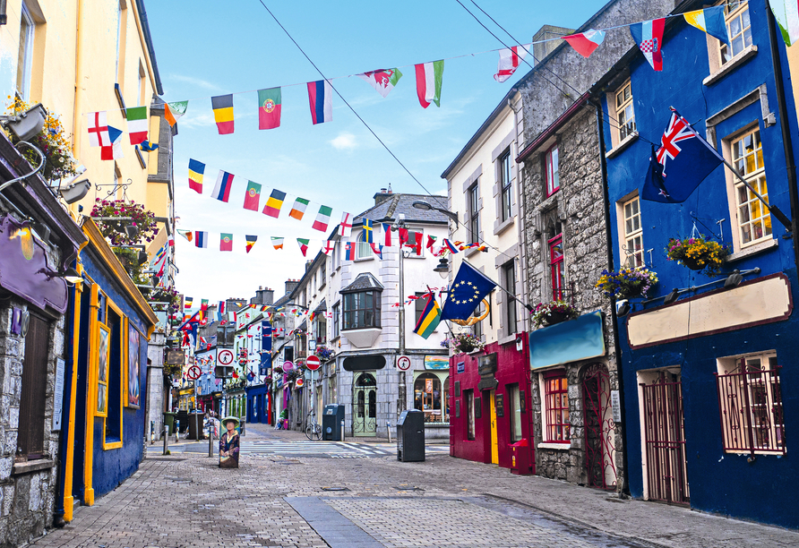 Sie lernen Galway bei einer Stadtbesichtigung kennen.