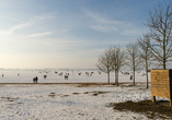 Im Winter ist der malerische Altmühlsee zugefroren.