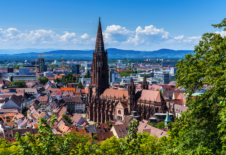 Unternehmen Sie einen Ausflug nach Freiburg und bestaunen Sie das imposante Münster.