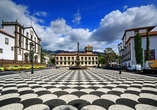 Der farbenfrohe Stadtplatz Praca do Municipio in Funchal auf Madeira