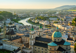 Die Mozartstadt liegt nur ca. 20 km von Ihrem Hotel entfernt.