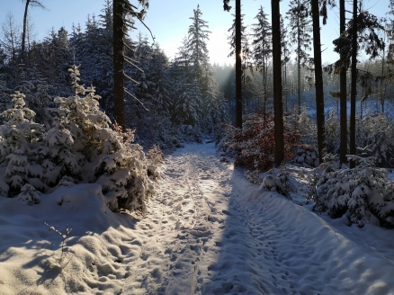 Verschneite Wanderwege im Spessart rufen zu winterlichen Wanderungen.