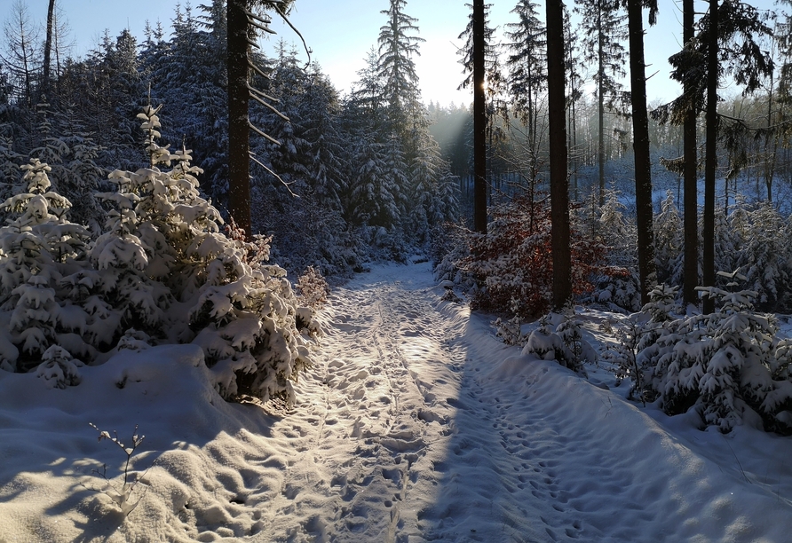 Der Winterzauber im Spessart begeistert jeden Urlauber.