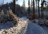 Der Winterzauber im Spessart begeistert jeden Urlauber.