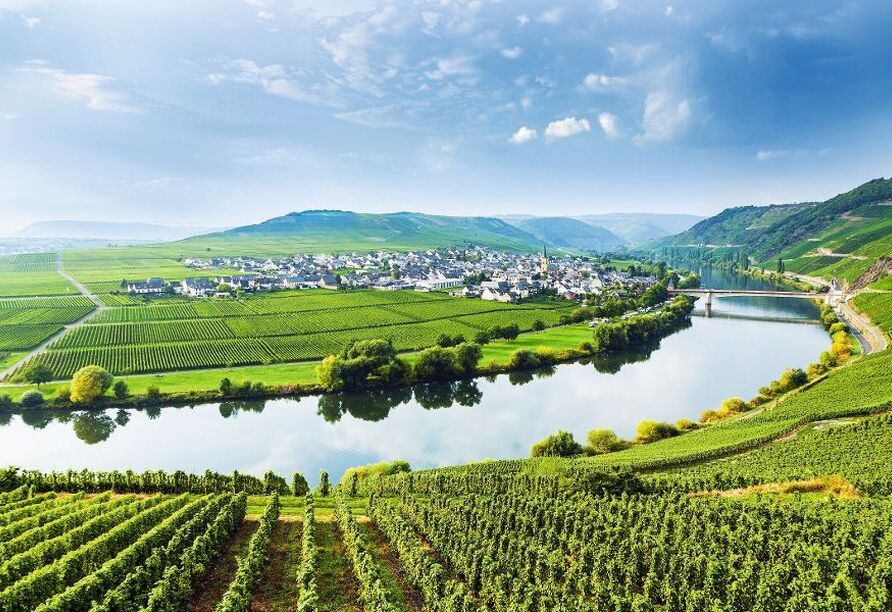 Radeln Sie durch die reizvolle Weinlandschaft rund um Trittenheim.