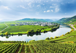 Radeln Sie durch die reizvolle Weinlandschaft rund um Trittenheim.