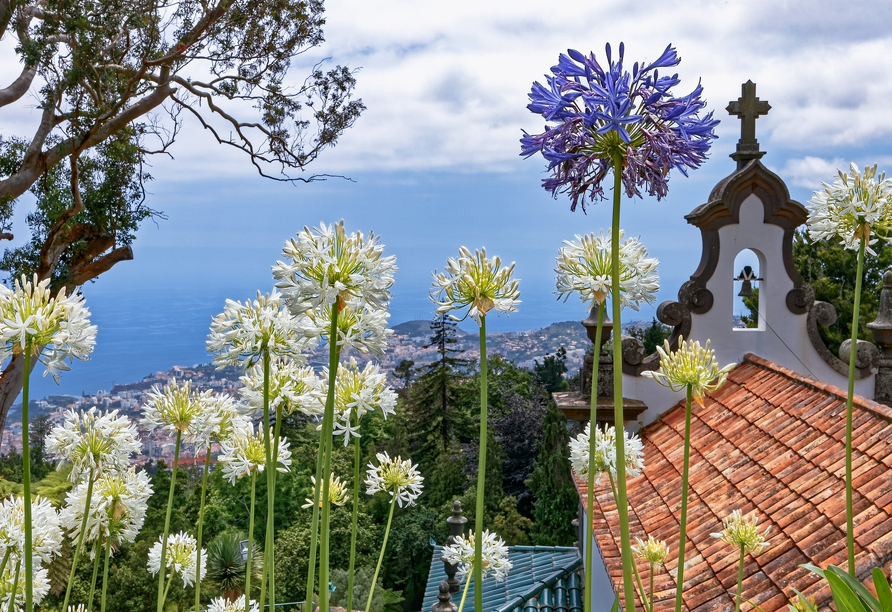 Monte in Funchal ist ein beliebtes Ziel.