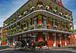 Bei einem Rundgang durch das historische und quirlige Zentrum French Quarter erhalten Sie einen ersten Eindruck von New Orleans.