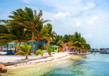 Caye Caulker ist eine zauberhafte kleine Koralleninsel vor der Küste von Belize.