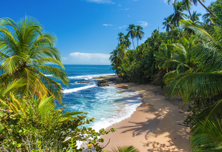 Paradiesische Strände erwarten Sie während Ihrer Kreuzfahrt, wie beispielsweise der Strand Puerto Viejo in Costa Rica.